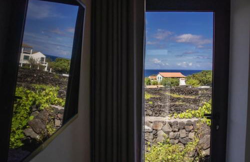 Paraíso do Triângulo - Photo 43