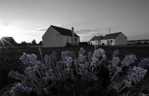 "Lawendowe Wzgórze" - Foto 58