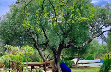 VILLA DU VERDON VAR PROVENCE avec piscine et jardin - private - Foto 12