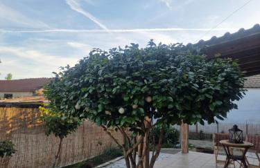 Kikas Stone House - Photo 22