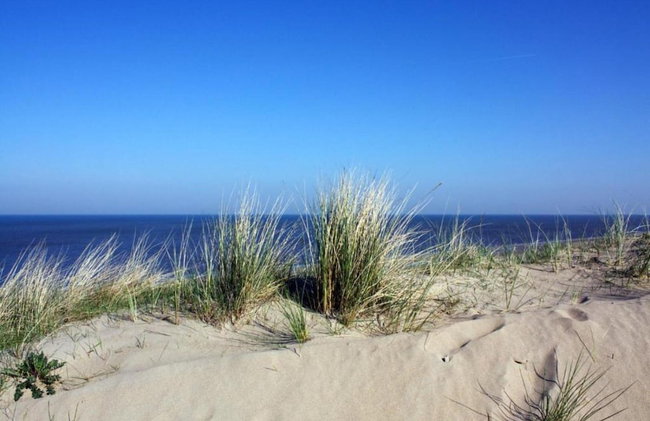 Holiday Home in Noordwijk Near Beach - Photo 34