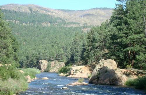 Impressive Cabin Rental with Views of Pike National Forest near Colorado Springs, Colorado - Foto 29