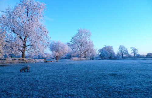 The Jockey Room Hideaway - Foto 29