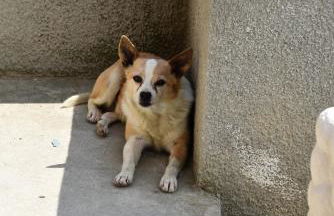 Agriturismo "Le Giustizie" - Foto 54