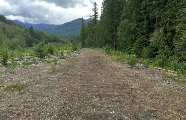 12GS - BBQ - WiFi - Dishwasher - Sleeps 4 - Foto 16