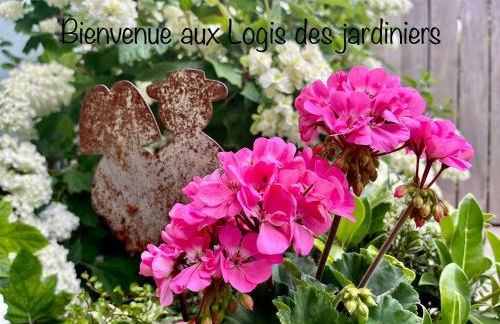 Appartements des Logis des Jardiniers Strasbourg-Roberstau - Foto 31