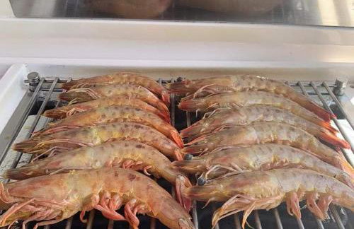 Alugo barco intermarine 440 - Foto 10