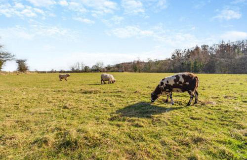 3 Bed in Rathmell oc-o31004 - Foto 24