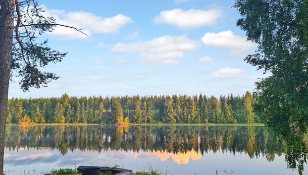 Einola - Foto 2, Inside other