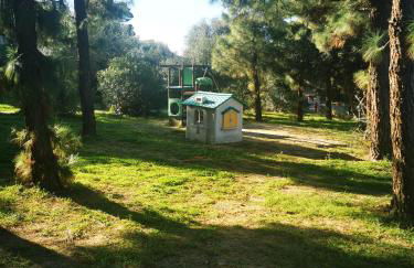 Cara Catherine - Foto 24