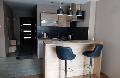 Apartamenty ,,Trzy Sosny'' Rymanów-Zdrój - Foto 21