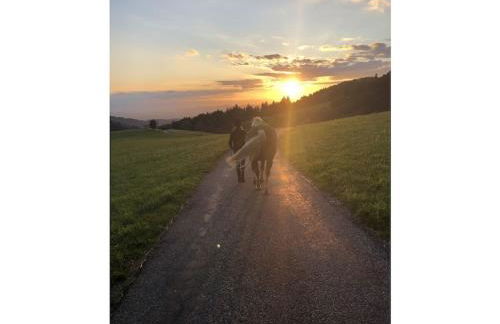 Holiday apartment in St Peter with balcony - Foto 8