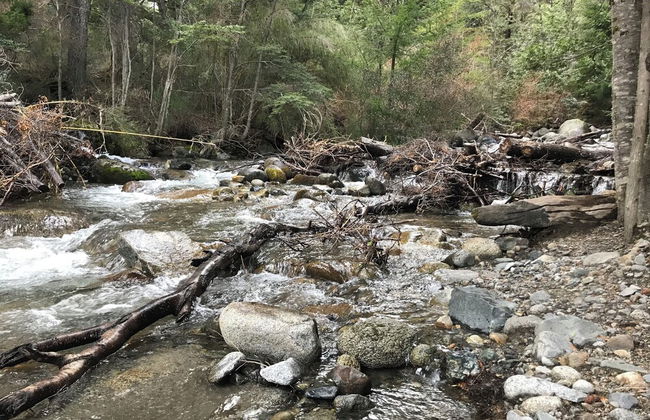 Amazing 5 Bedrooms Chalet in Villa Traful VT1 by Apartments Bariloche - Foto 64