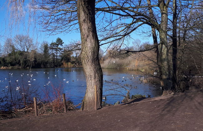 Beautiful Romantic Village House With Netflix - Photo 18