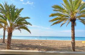 Casa Blanca - Foto 33