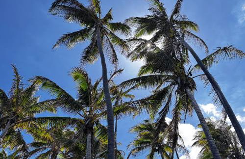 Shores at Waikoloa 132 Hale Kai - Foto 79