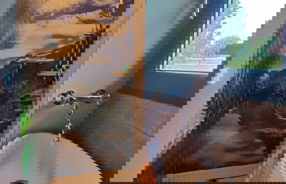 TinyHousebeiDresden spektakuläres winziges Häuschen auf Stelzen im Pferdeteich, Kaminofen, umlaufende Terrasse - Nähe Sächsische Schweiz - Foto 10