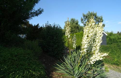 Turm im Blick - Foto 12