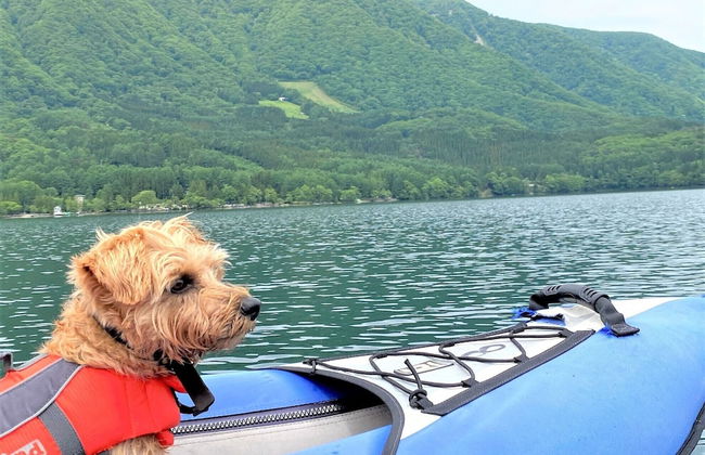 Hakuba Powder Mountain - Foto 71