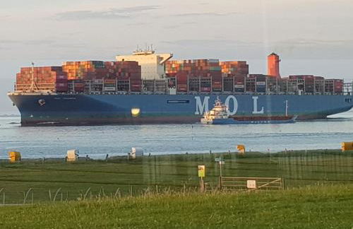 Biolandhof Dorn Highlander vom Elbdeich - Foto 4