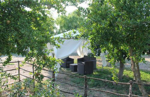 Agriturismo L'Assiolo - Foto 28