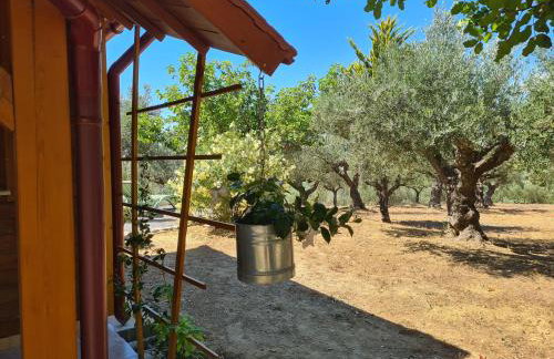 Ktirakia Studios - Foto 29