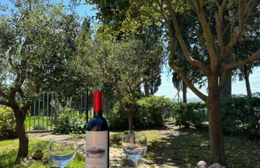 Podere Quercia al Santo - Foto 15