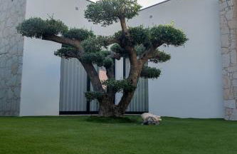 Vietnam House - Foto 30