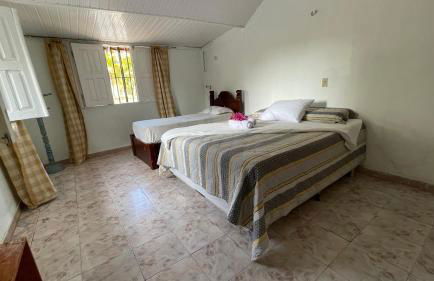 Sítio paraíso tutoia - Photo 9