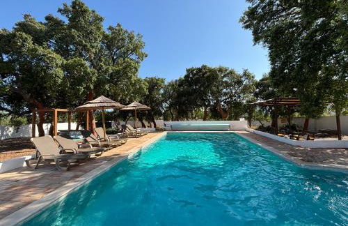 Proud Progress Homes - Casa Portus - Foto 8