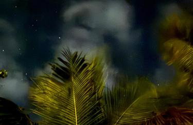 Samaya Corumbau - Photo 37