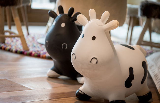 Chalet Skadi - Foto 44