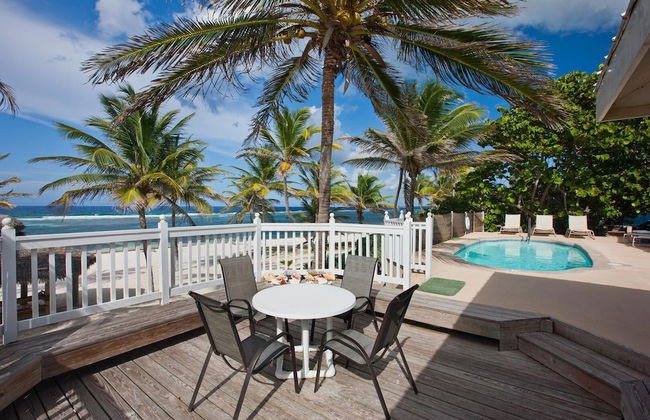 Sea Grape - Photo 17