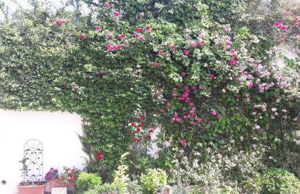 Holiday home "Goga" ruralna kuća - Foto 29