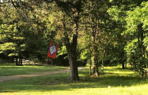 Liberty Cabin on Collier Creek - Foto 69