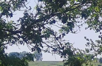 Peaceful cottage retreat in the Peak District - Foto 24