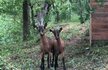 Gite de groupe "L'Unisson" Domaine La Rose des Vents - Photo 50