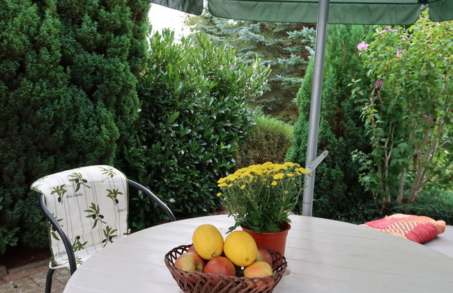 Am Pälitzsee - Foto 17