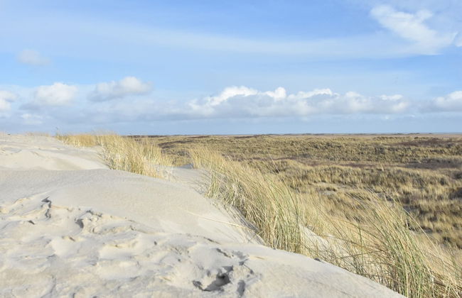 Villa in Midsland Near the Sea - Foto 39