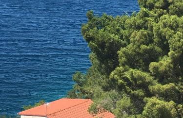 Apartmani Frka - Foto 3