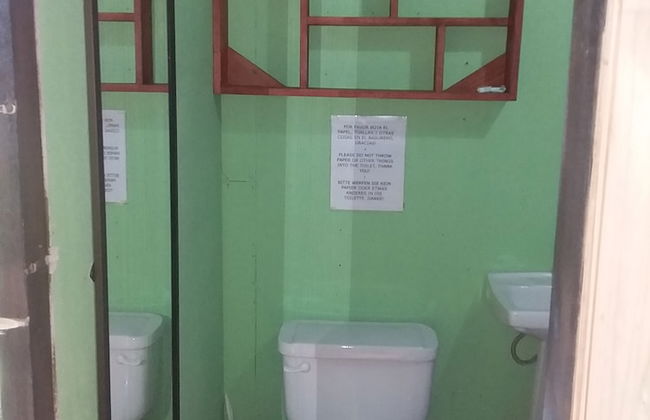 Drake Lapas - Foto 10