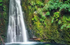 Casa do Faial da Terra - Foto 30