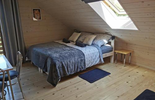 Noclegi Święta Katarzyna ,, Pod Jeleniami "prawdziwymi - Foto 10