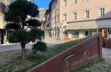 SASS MAOR 2 bedrooms apartment 80 sm Fiera di Primiero TN - Foto 13