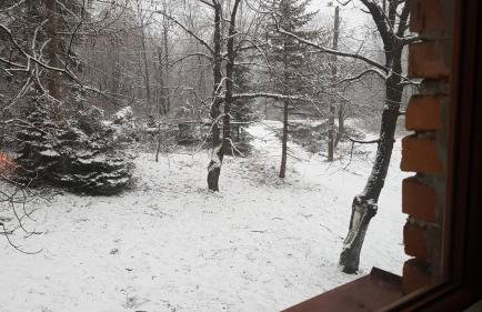 Bujaków, apartamenty Zdrojowa 58a - Foto 42