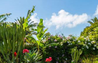 Casara Tres - 2 Dormitorios - Jardín y acceso Privado a la Playa - Foto 18