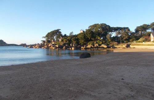 Les hortensias - Foto 39