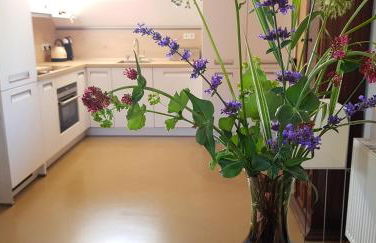 Hossies Hof - Luxus Ferienhaus Scheune - Foto 10