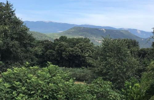 Studio au calme les hirondelles - Foto 8