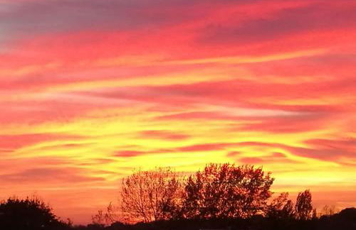 Wald & Wiesen Apartment im Bergischen Land - Urlaub, Köln, Messe & Geschäftsreise - Foto 30